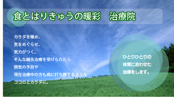 �H�Ƃ͂肫�イ�̒g�� ���É@